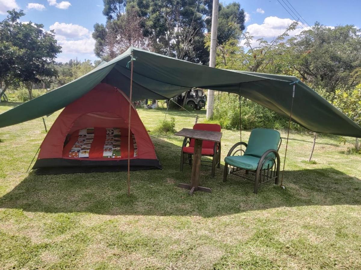 ビージャ・デ・レイバ Hospedaje Y Zona De Camping Pistachoゲストハウス エクステリア 写真