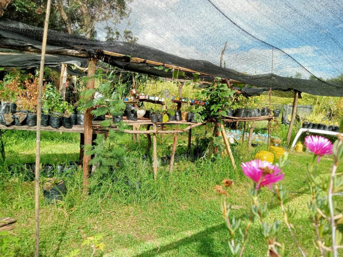ビージャ・デ・レイバ Hospedaje Y Zona De Camping Pistachoゲストハウス エクステリア 写真