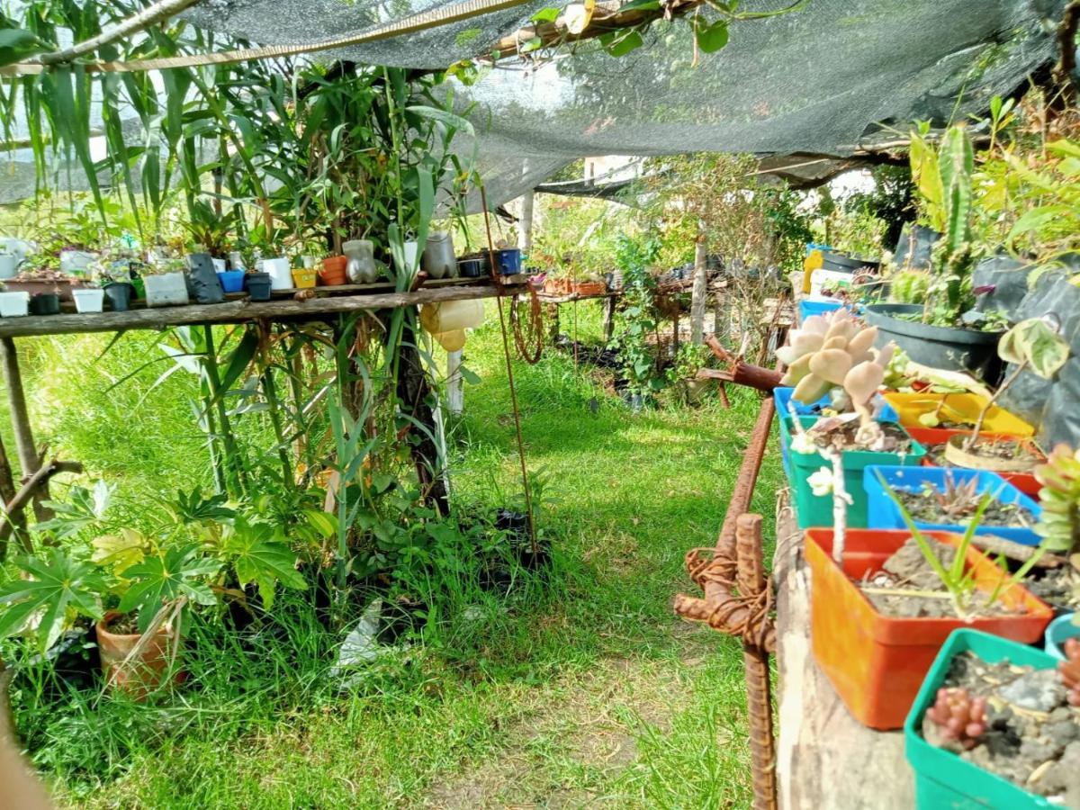 ビージャ・デ・レイバ Hospedaje Y Zona De Camping Pistachoゲストハウス エクステリア 写真