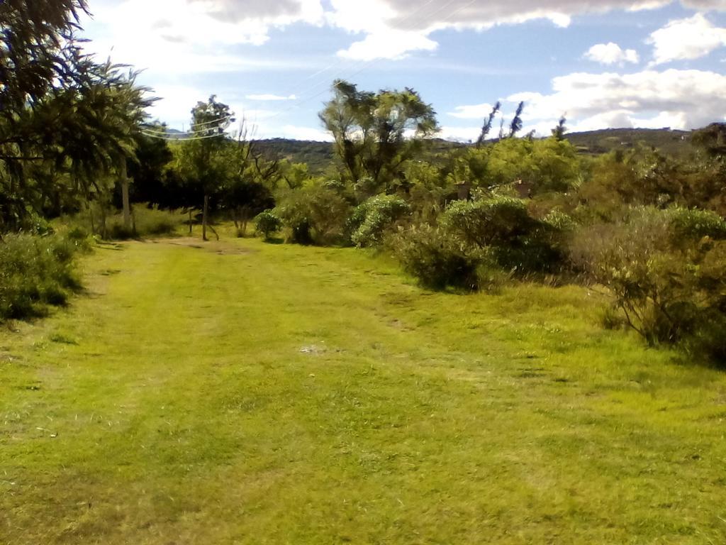 ビージャ・デ・レイバ Hospedaje Y Zona De Camping Pistachoゲストハウス エクステリア 写真